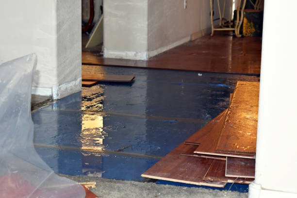 Professional Water Damage Restoration technician working in Forestdale, AL
